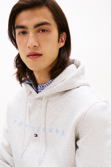 Tommy Jeans tjm reg linear logo hopodie ext